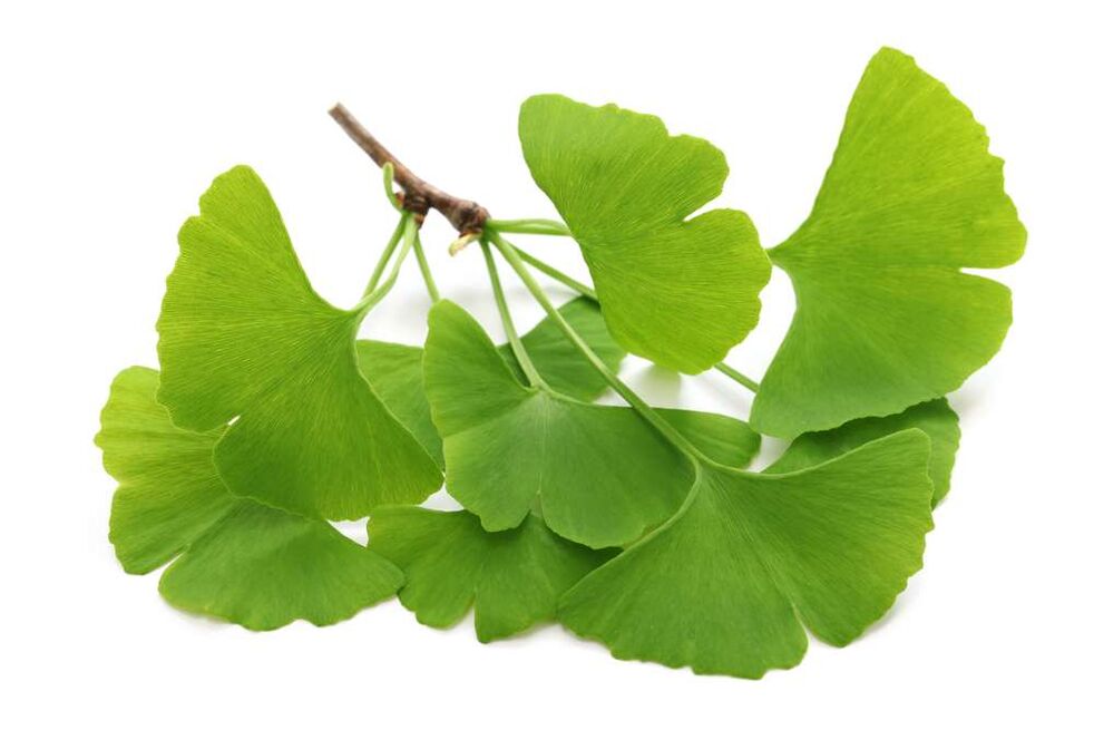 gingko biloba en gélules Glucoren